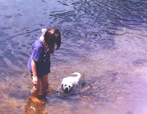 Doindogs Yew of Kerrybrook (as pup) 56.jpg